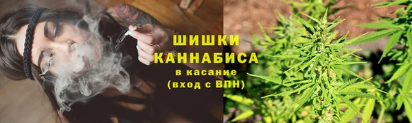мяу мяу мука Богданович