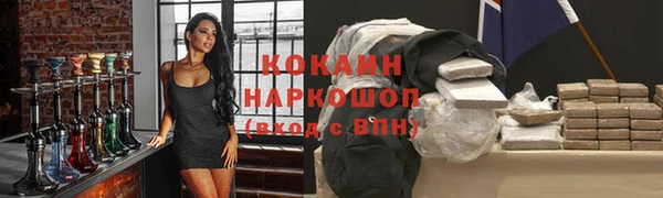 mdpv Богородицк