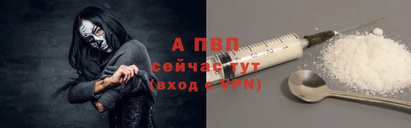 mdpv Богородицк