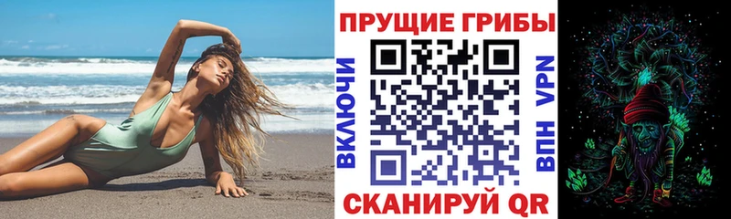 ОМГ ОМГ ТОР  Монино  Псилоцибиновые грибы мицелий 